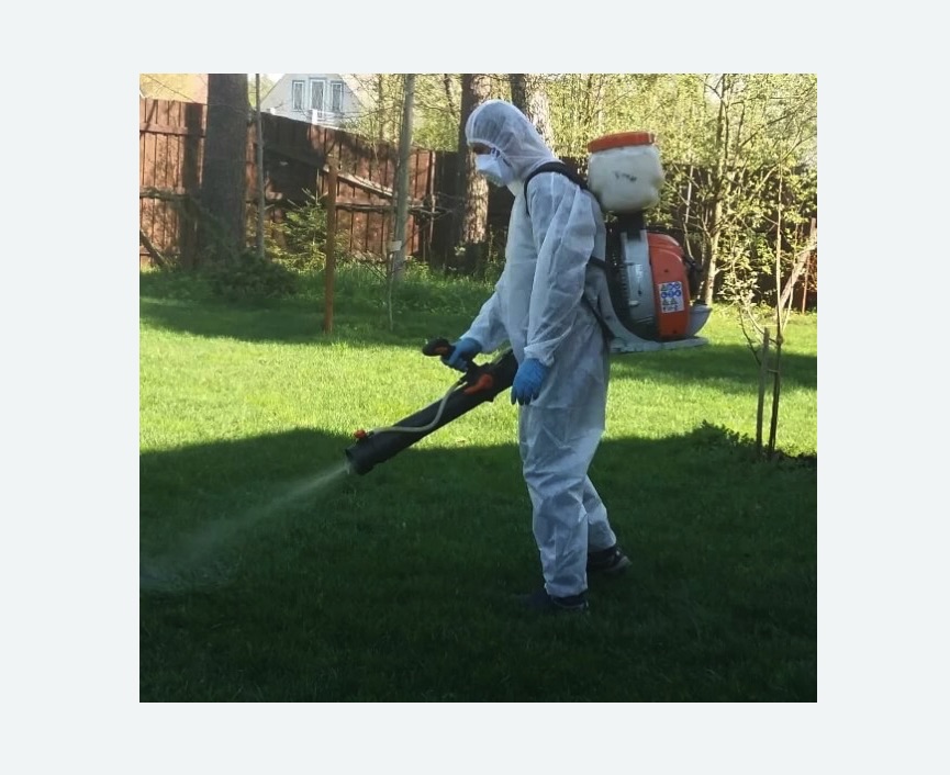 Обработка территории от клещей в Костерево