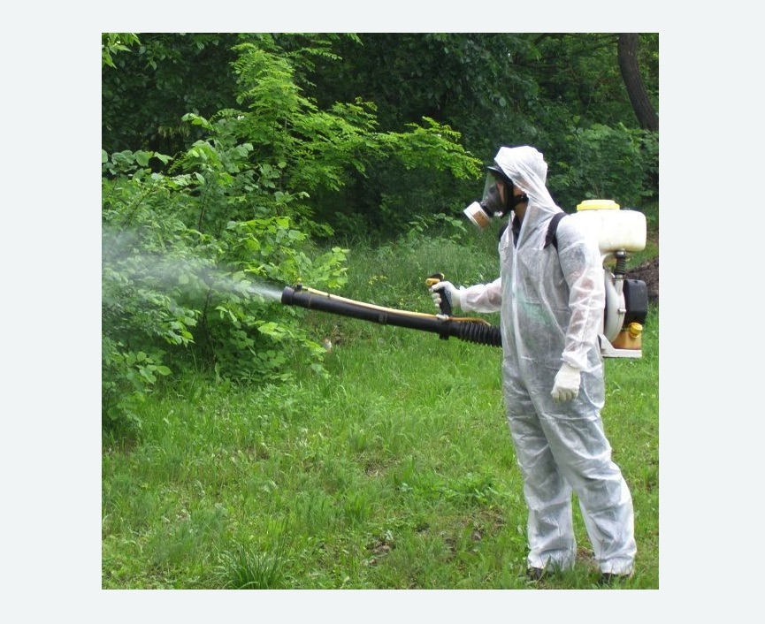 обработка территории от клещей в Костерево