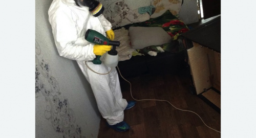 Обработка квартир от насекомых в Костерево