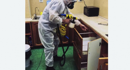 Дезинсекция квартиры. Костерево