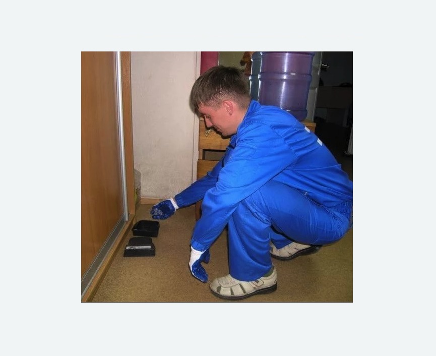 Дератизация крыс в Костерево