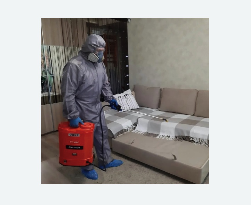 Обработка квартиры от блох в Костерево Обработка квартиры от блох