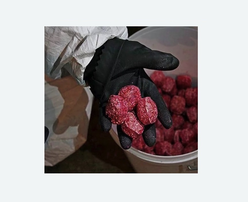 Обработка от крыс в Костерево