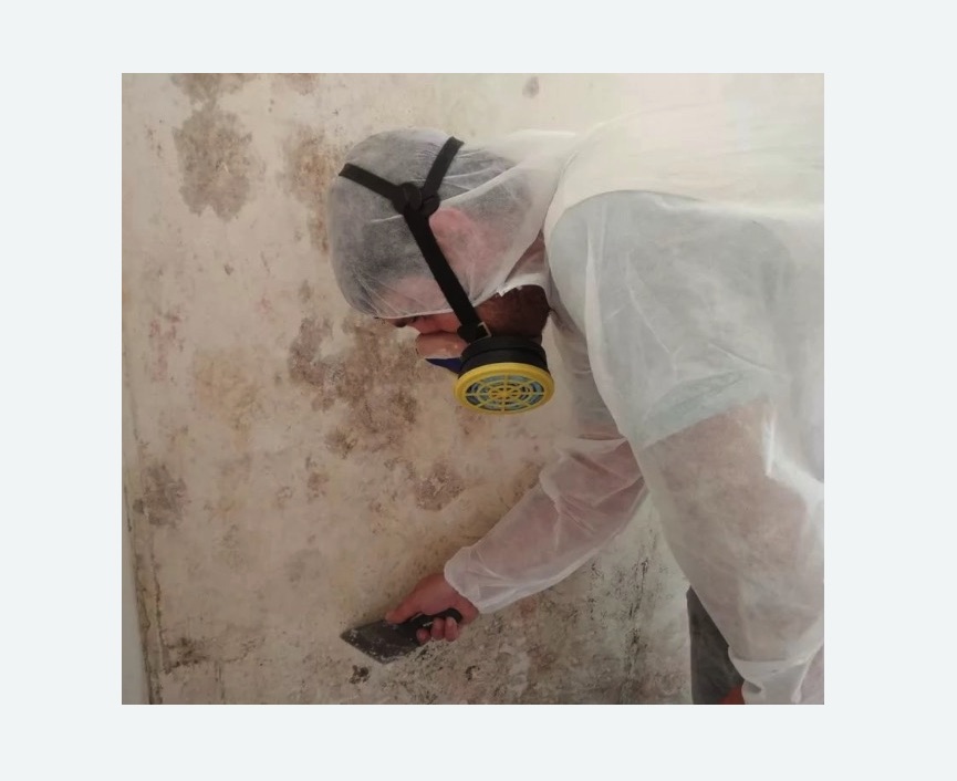 Обработка стен от плесени в Костерево