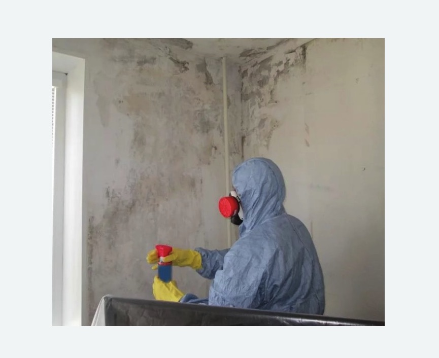 Удаление плесени в квартире в Костерево
