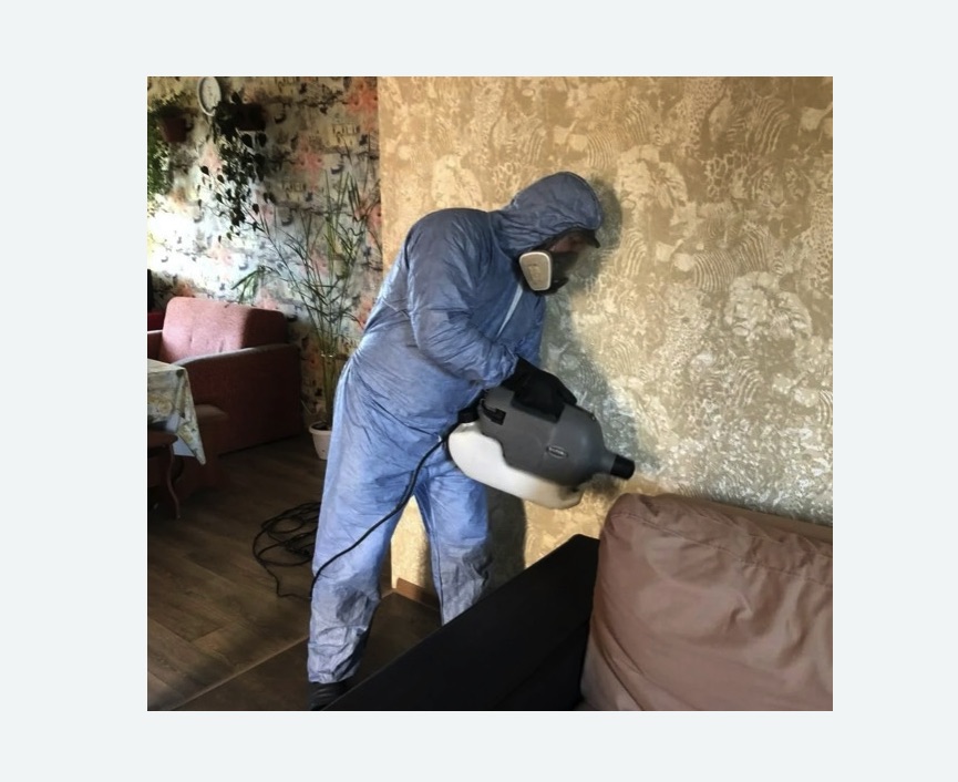 Уничтожение блох в квартире. Костерево Уничтожение блох в квартире