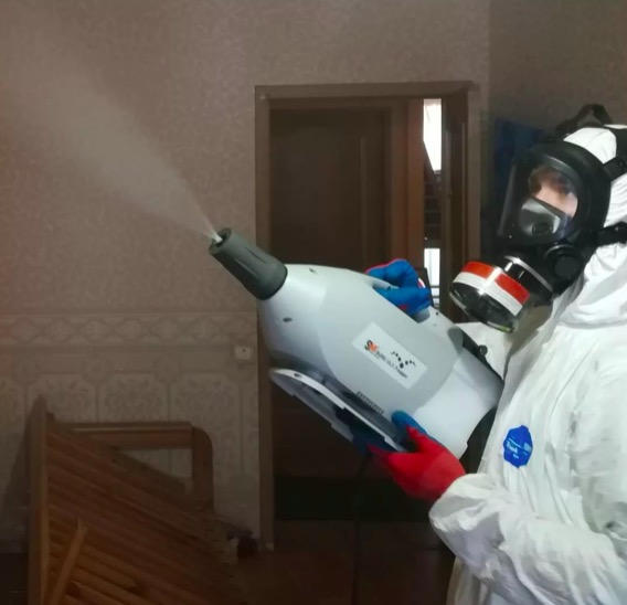 дезинсекция помещения в Костерево