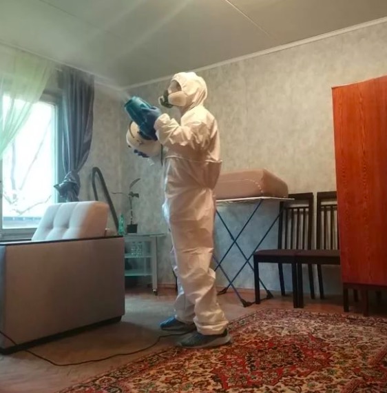 дезинсекция квартиры в Костерево
