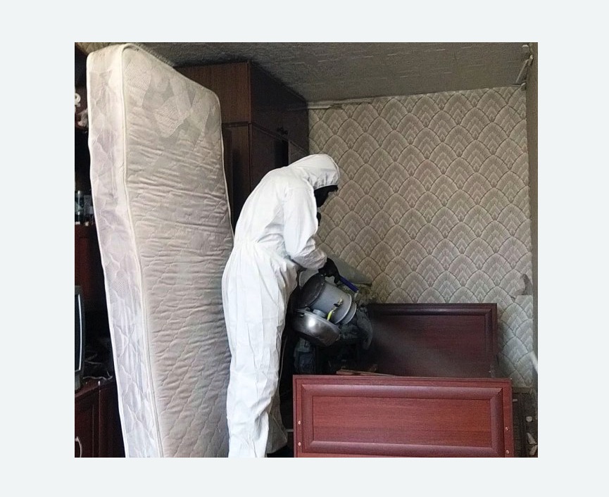 дезинфекция от клопов в Костерево