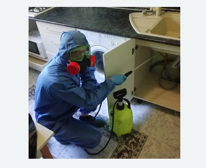 обработка от муравьев в квартире обработка от муравьев в квартире в Костерево