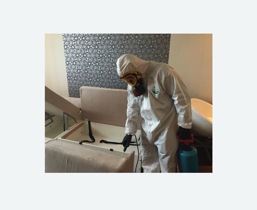 уничтожение клопов в квартире в Костерево