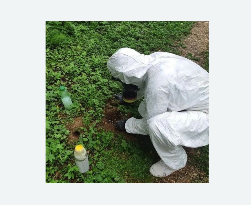 уничтожение кротов на участке в Костерево