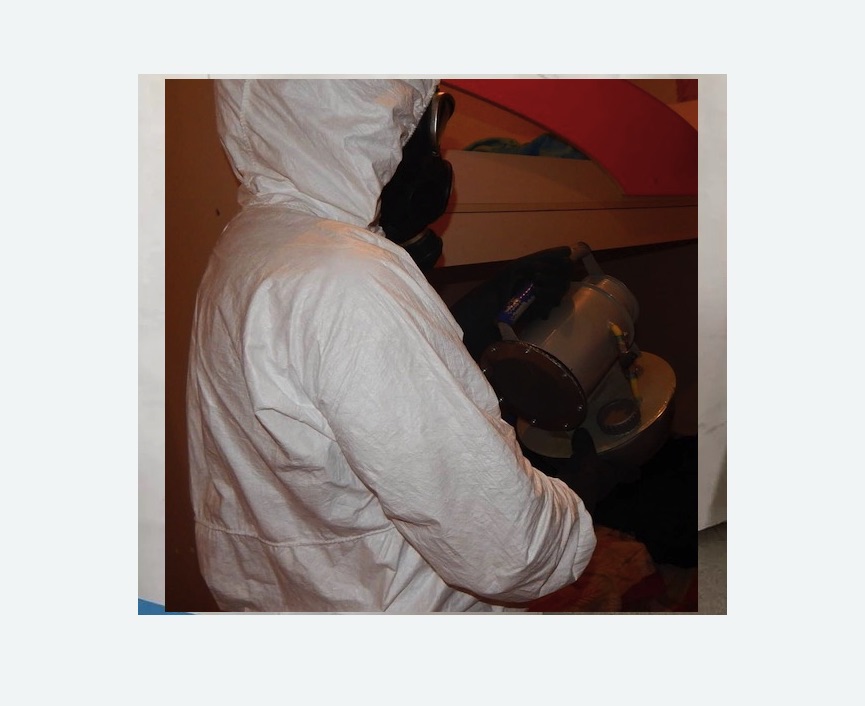 Дезинфекция от муравьев Дезинфекция от муравьев в Костерево