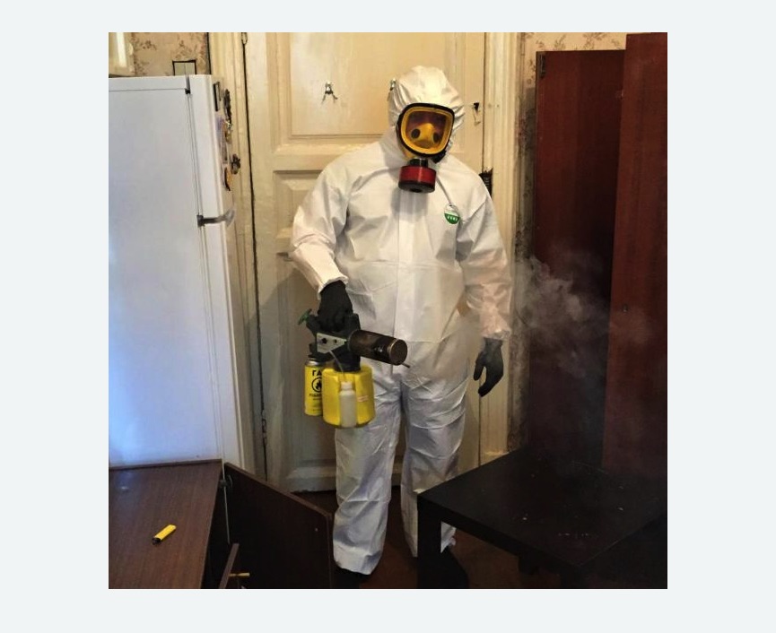 уничтожение муравьев в квартире уничтожение муравьев в квартире в Костерево